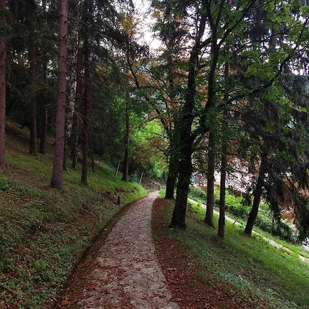 Golubina - Daire Višegrad